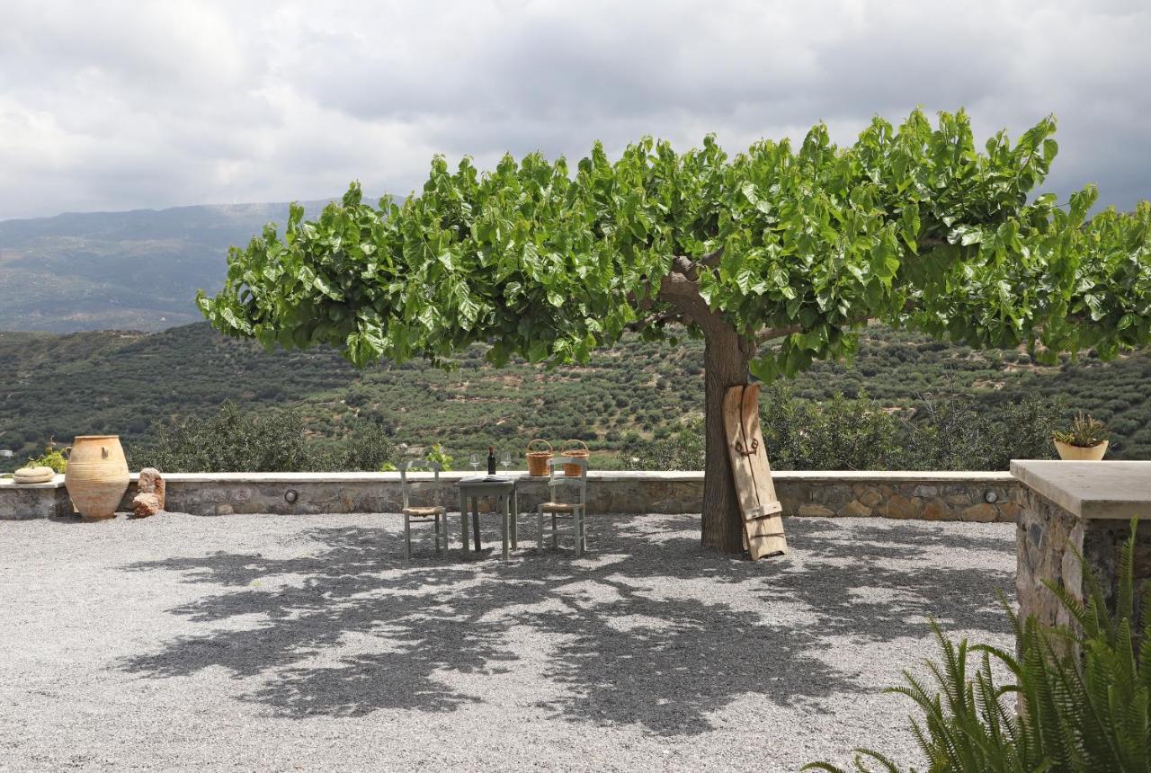 Amvikas Suites-Sitia Luaran gambar